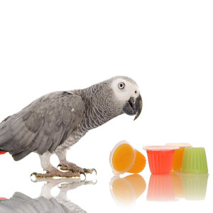 HappyPet Tweeter's Treats Jelly Pots Fruity 8 sztuk - mix smaków