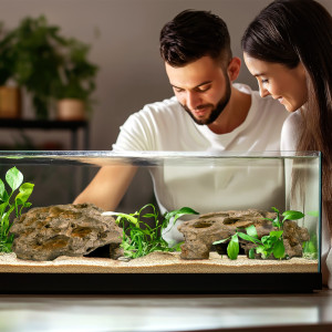 Terrario Dragon Stone M - kryjówka do terrarium 22x15x8cm