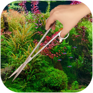 Kruger Meier Pflanzenschere Einfache - nożyce proste 25cm