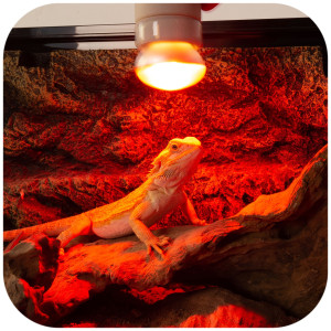 Repti-Zoo Mini Infrared Spot 25W NANO - żarówka grzewcza 2 sztuki