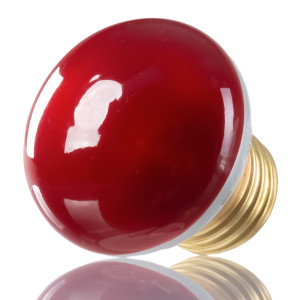 Repti-Zoo Mini Infrared Spot 25W NANO - żarówka grzewcza 2 sztuki