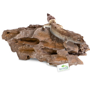 Terrario Dragon Stone S - kryjówka do terrarium 22x12x7cm