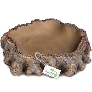 Terrario Root Bowl – Miska do Terrarium 16x16x4 cm