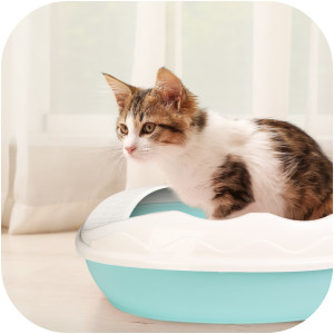 Furrever Friends Purrfect Point Turquoise with Scoop - mała kuweta z łopatką