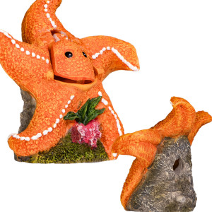Kruger Meier Happy Starfish – Ozdoba do akwarium 10.5x6x11 cm