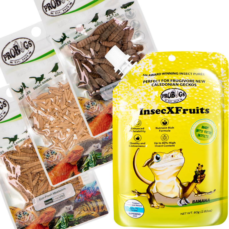 Probugs Crested Gecko Set Plus - kompletna dieta dla gekonów orzęsionych robaki i żel z witaminami