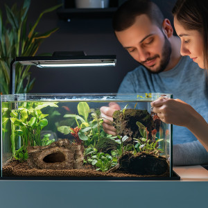 Terrario Wood Cave S - kryjówka do terrarium 14x9x7cm