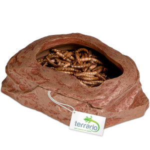 Terrario SplitRock Smart Bowl – miska do karmienia żywym pokarmem 11x9x4 cm