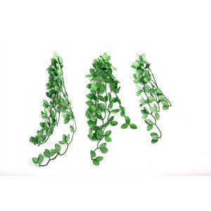 Repti-Zoo roślina wisząca 40cm - Fitonia