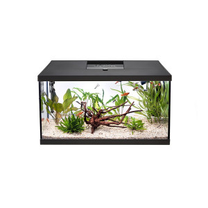Aquael Leddy 75 Day&Night Black 2.0 - zestaw akwariowy