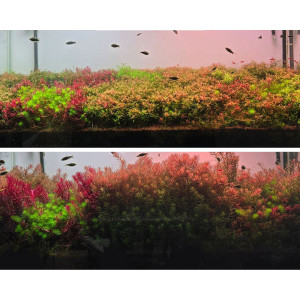 Neo Booster Plants FERTI 300ml - nawóz dla roślin akwariowych dla początkujących