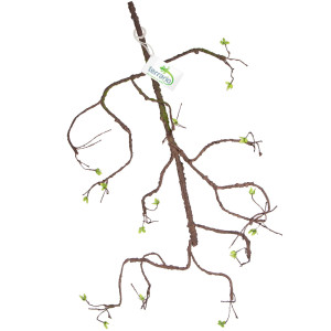 Terrario – Sztuczna Gałąź Dekoracyjna z Pędami do Terrarium – 100 cm