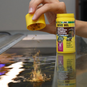 JBL Pronovo Bel Flakes M 250ml - podstawowy pokarm dla ryb