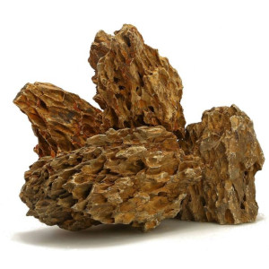 Kamienie Dragon Stone