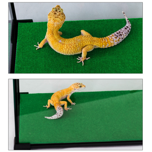 Repti-Zoo Carpet Mat - podłoże do terrarium 50x30cm