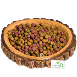 Terrario Tree Ring Bowl M – Miska do Terrarium 12x11x1,5 cm