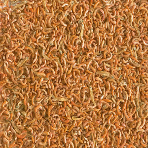 Tetra Gammarus Mix 250ml - pokarm dla żółwi z gammarus