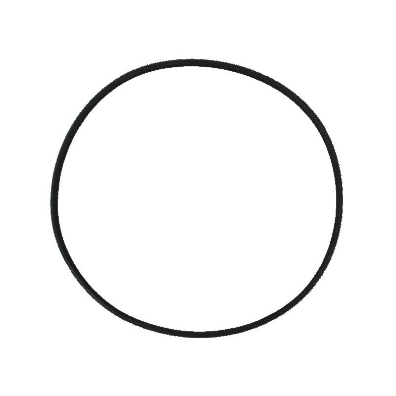 SunSun Uszczelka głowicy HW-304