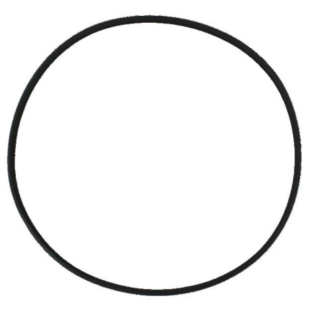 SunSun Uszczelka głowicy HW-304