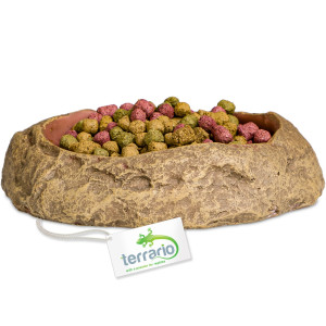 Terrario Rock Oasis S – Miska do Terrarium 10x6,5x2,5 cm