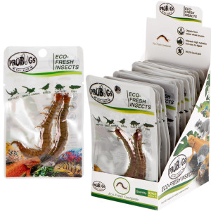 ProBugs Eco-Fresh Scolopendra Centipede 2pcs - świeże skolopendry