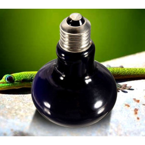 Super Reptile Black Moonlight 75W - żarówka grzewcza