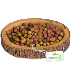 Terrario Tree Ring Bowl S – Miska do Terrarium 9,5x7,5x1 cm