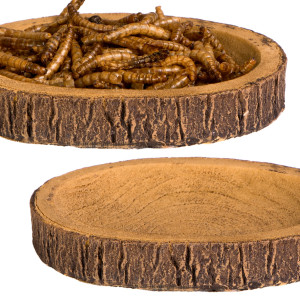 Terrario Tree Ring Bowl S – Miska do Terrarium 9,5x7,5x1 cm