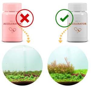 Neo Cap Accelerator - 20 kapsułek na tarło, apetyt ryb i wzrost roślin