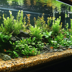 Kruger Meier River Serenity 2–8 mm – Żwirek akwarystyczny 2 kg