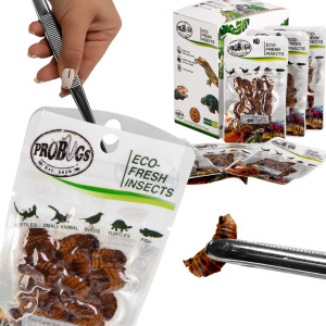 ProBugs Eco-Fresh Silkworm 15g - świeże larwy jedwabnika