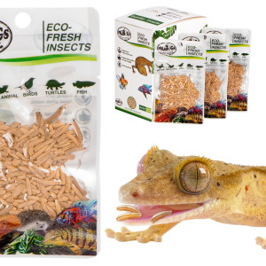 ProBugs Eco-Fresh Riceworm 15g - świeże larwy muchy