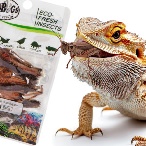 ProBugs Eco-Fresh Grasshopper 8pcs - świeże koniki polne