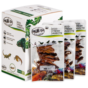 ProBugs Eco-Fresh Grasshopper 8pcs - świeże koniki polne