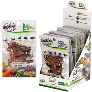ProBugs Eco-Fresh Grasshopper 8pcs - świeże koniki polne