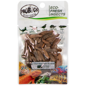 ProBugs Eco-Fresh Black Solider Fly Larvae 20g - świeże larwy muchy czarnej
