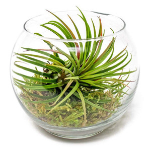 Siatka PCV  - do oddzielania warstw podłoża