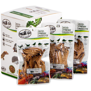 ProBugs Eco-Fresh Superworm 20g - świeże larwy drewnojada