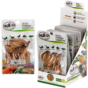 ProBugs Eco-Fresh Superworm 20g - świeże larwy drewnojada
