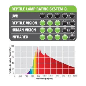 EXO TERRA Daylight 25W (żarówka grzewcza neodymowa)