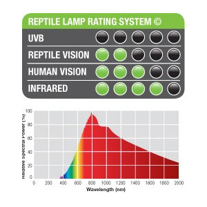 EXO TERRA Intense Basking Spot 50W (żarówka grzewcza)
