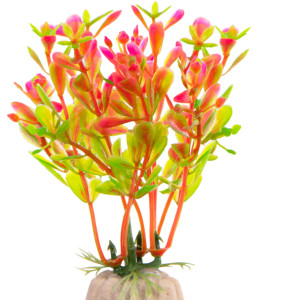 Kruger Meier Plant Fluo Pink - roślinka sztuczna