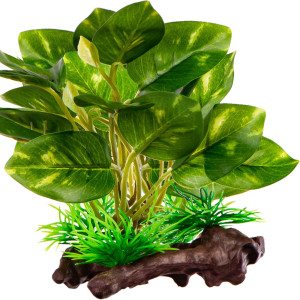 Kruger Meier Plant Ficus Root - roślinka sztuczna