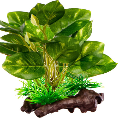 Kruger Meier Plant Ficus Root - roślinka sztuczna