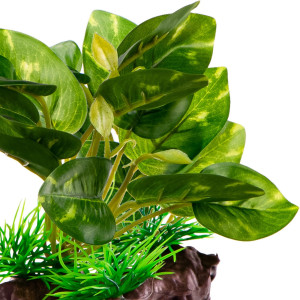 Kruger Meier Plant Ficus Root - roślinka sztuczna