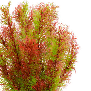 Kruger Meier Plant Riverweed - roślinka sztuczna