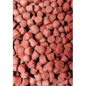 Ocean Nutrition Formula One Pellets S 100g (drobny pokarm granulowany)