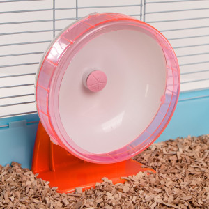 Furrever Friends Olympic Wheel Orange - kołowrotek z łożyskiem kulkowym