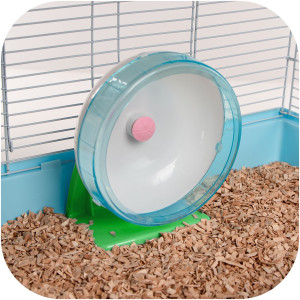 Furrever Friends Olympic Wheel Blue Green - kołowrotek z łożyskiem kulkowym