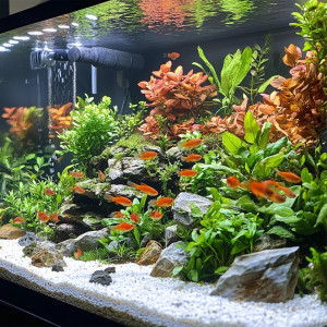 Kruger Meier Thasos Glacier 4–8 mm – Żwirek akwarystyczny 2 kg